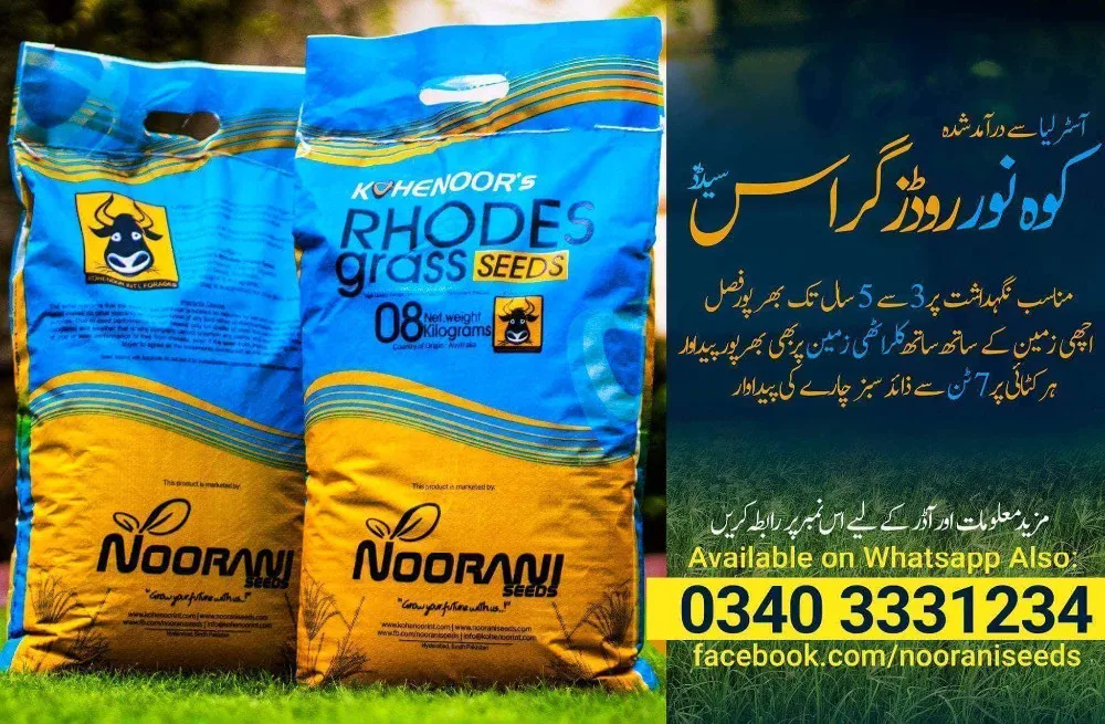 Rhodes Grass Seeds Buy Rhodes Grass Seeds,Rhodesgrass,Rhodesgrass Hay