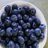 frozen blueberry and fresh blueberry prices