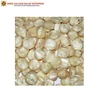 2019 Best Selling Organic Delicious White Corn Maize from Reputed Exporter