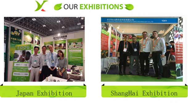 paste-pic-dp_uuid_jisi0