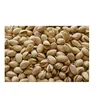 Organic Raw and Roasted Pistachio Nuts For Sale