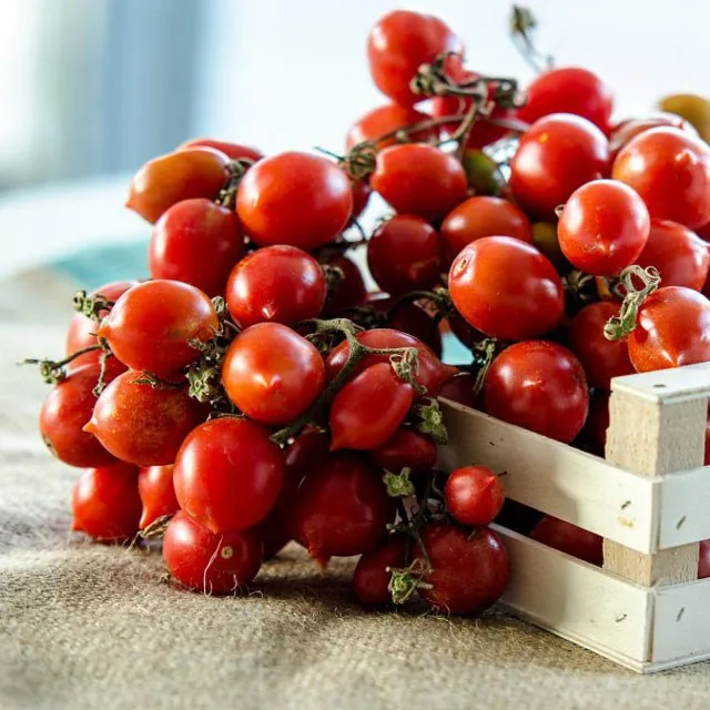 tomato sauce - glass jar - 520 g - buy italian cherry tomatoes