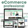 ecommerce professional ecommerce website