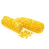 From Ukraine Non GMO Organic high quality Selling Yellow Corn