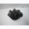 Mate black color painted Scallop Shell, new arrival of natural souvenir now on sale