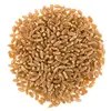 Top Grade - Wheat Grain 2019