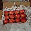 100% Natural Fresh Pomegranate Fruits in India / Malaysia / Singapore / Dubai / Maldives / Sri Lanka