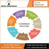 Build Ultimate Website in Ecommerce at Best Price from Indian Web Agency