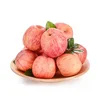 Fresh Apple Fruit for sale