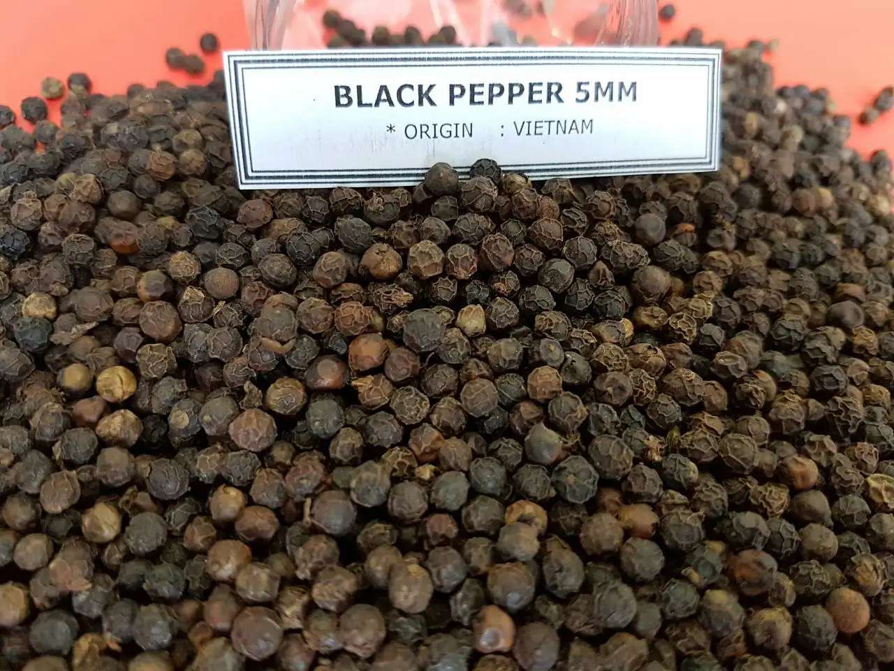 Bulk Black Pepper 베트남 인간의 머리에서 (싸이 월드,미투데이 0084 989322607) Buy 후추 Xxx