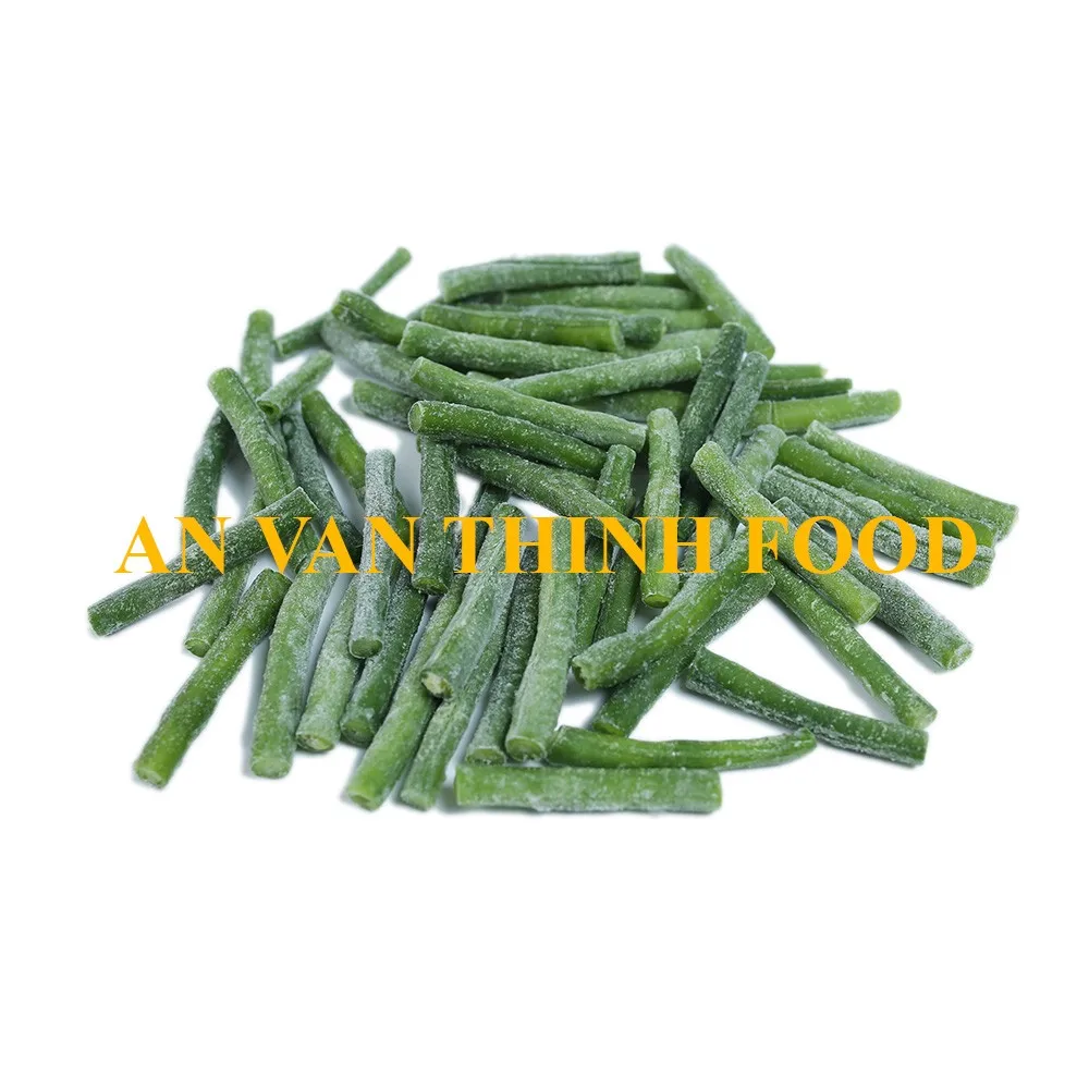 Frozen Long Green Bean Whole With Best Price And High Quality In