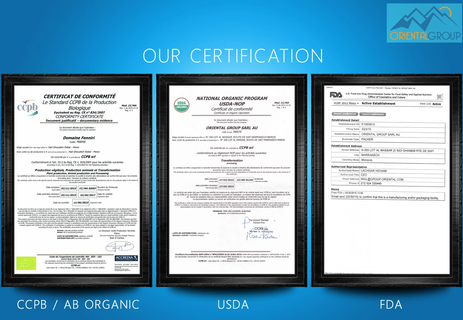Certification----POSTER.jpg