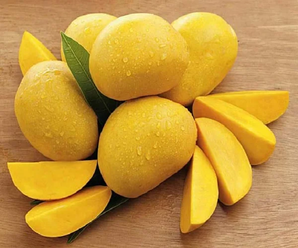 Wholesale Best Quality Fresh Mangoes For Sale Buy Fresh Philippine