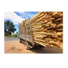 High quality Acacia logs and sawn timber from Vietnam HOT SELLING