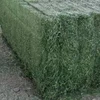 /product-detail/best-grade-alfalfa-hay-timothy-hay-animal-feed-for-sale-50046224310.html