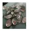 /product-detail/abalone-shell-vietnam-seashell-0084587176063-whatsapp--62006703807.html