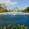 Bio enzymic product for pond bio remediation
