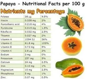Paw_some_papaya_grande