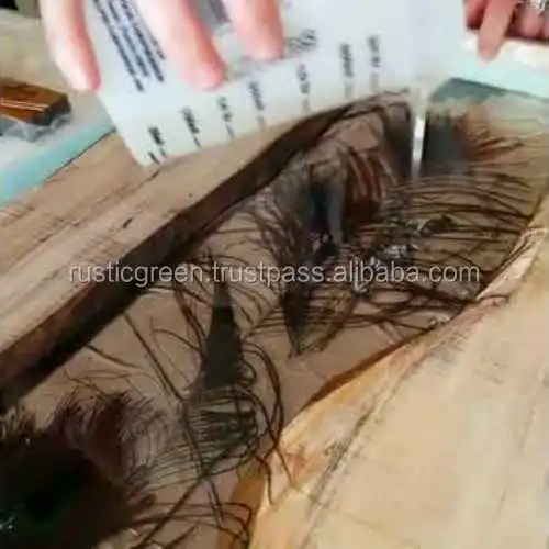 epoxy Peacock feather.jpg