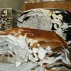 /product-detail/wet-salted-donkey-goat-skin-donkey-salted-cow-hides--62002340745.html