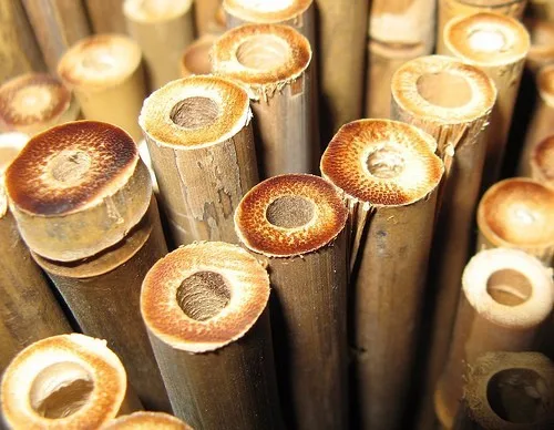 viet nam natural bamboo pole big bamboo poles/ cheap price