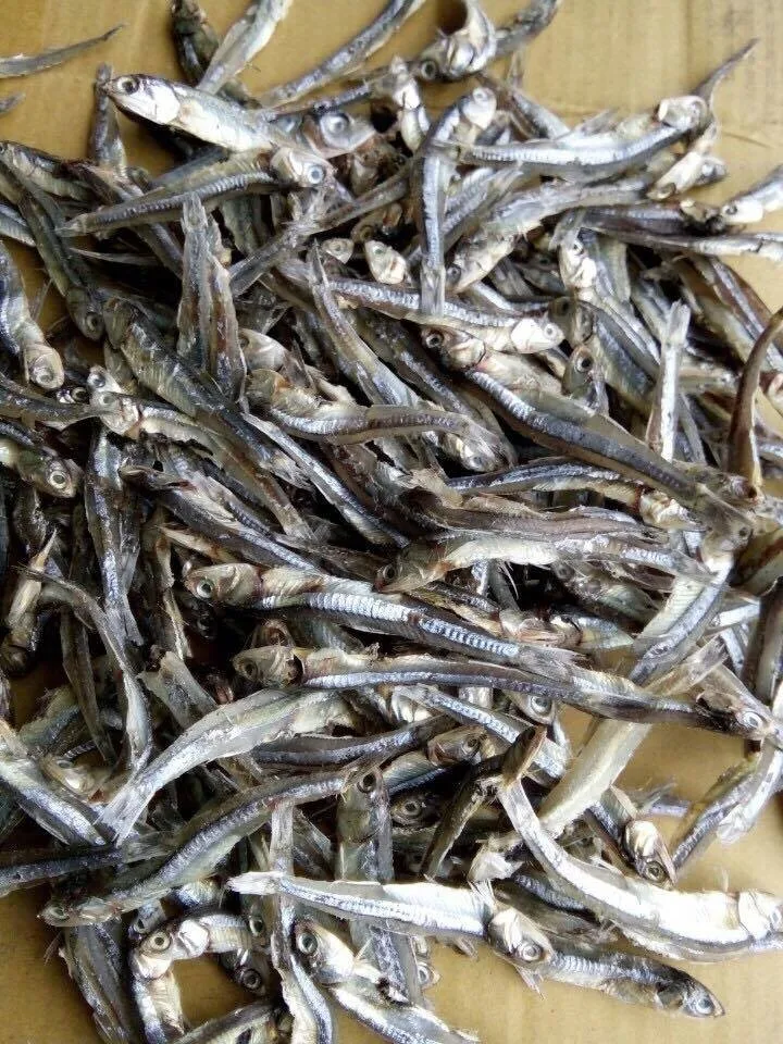 Wholesale Dried Anchovy Seafood / Buy Fish Anchovy,Dried Fish Anchovy,Fish Anchovy Dried