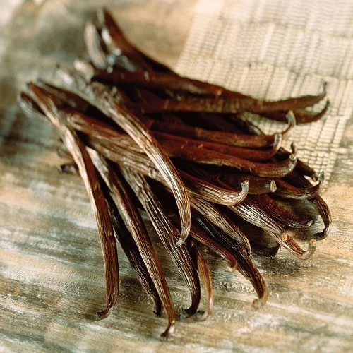 vanilla-planifolia1.jpg