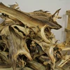 Dry Stockfish Herring Fish from Norway, supply from Netherlands..