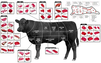 Beef Cuts,Products Of United States,Usda Approved ... angus cows meat diagram 