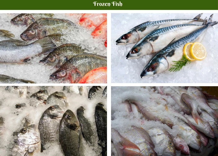 Indian Asset FROZEN FISH.jpg