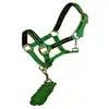 Green color HORSE nylon halter with lead set