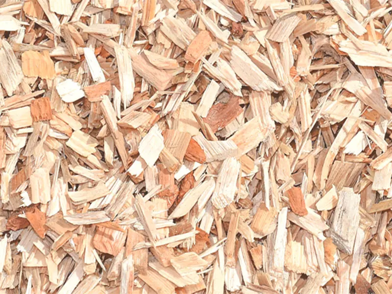 Quality Acacia and Eucalyptus Wood Chips
