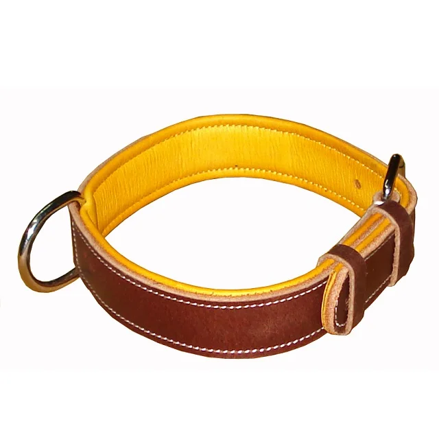 plain leather dog collar