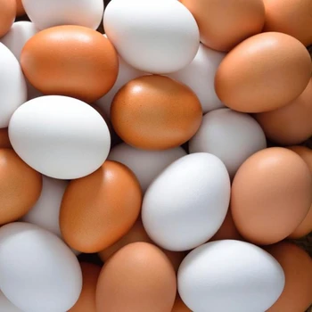 Brown And White Farm Fresh Table Chicken Eggs For Sale Worldwide Buy Chicken Egg For Sale Product On Alibabacom