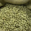 Organic Coffee Beans from Costa Rica