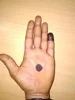 Current Year henna cones pakistan Body art Qulity BAQ