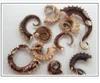 Feeze Dried Octopus