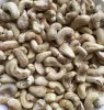 NS Vina Best Price Fresh DW Cashew Nut Kernel