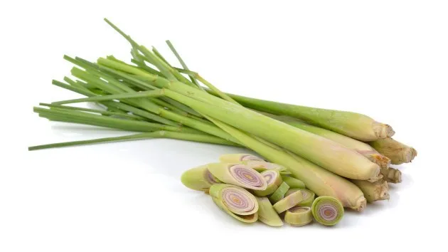 Frozen Minced Lemongrass/lemongrass Sticks/lemongrass Best Price ...