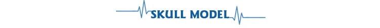Skull-Model1.jpg