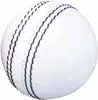 2019 Factory Price Cricket Hard Balls-Hand stitched white Leather Cricket ball