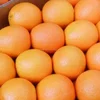 our products` packing can also be waxed or labeled if need be .. Orange or lemon
