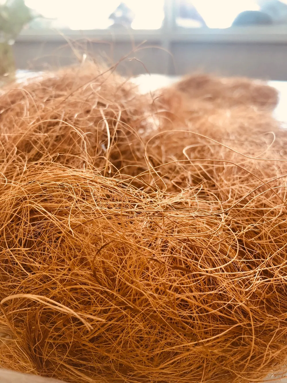 Vietnam Natural Coconut Coir/coconut Husk Fiber Yellow Brown Color For