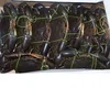 Quality Frozen Shell Crab/Live Mud Crab for sale