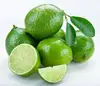 FRESH LIME/ FRESH LEMON FROM VIETNAM - BEST QUALITY FOR EXPORT (Mr Jack 0084902948089)
