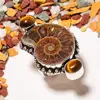 Natural Brown Ammonite Fossil 925 lots sterling silver rings Size 8.5