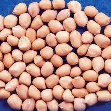 Bold Peanut Kernel 6