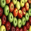 fresh Apple for sale