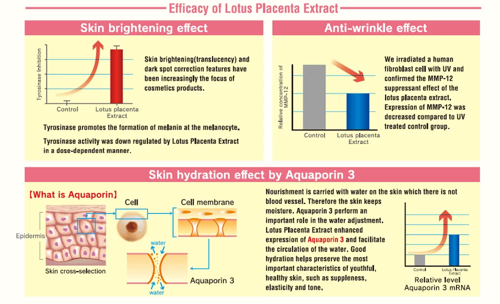 Japanese Lotus Placenta Extract For Cosmetics For Skin Brightening