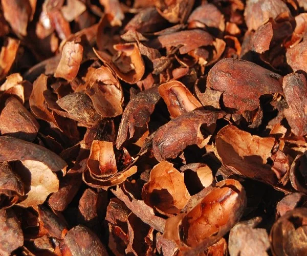 Cocoa Husk/cocoa Bean Pods/cocoa Shell Buy Cocoa Pods For Sale,Cocoa
